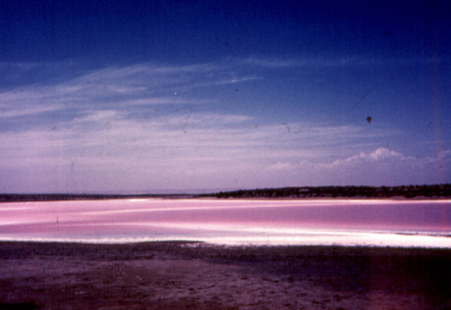 pan4
